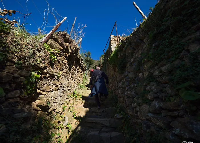 Camaella Luxury Апартаменты *