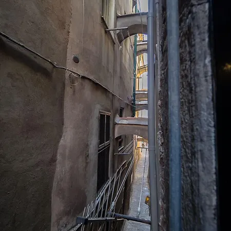 Camaella Luxury 아파트 *