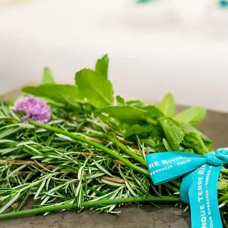 Camaella Luxury 아파트 베르나차