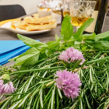 דירה Camaella Luxury ורנאצה