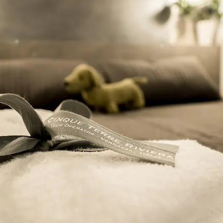 Camaella Luxury Studio * Vernazza