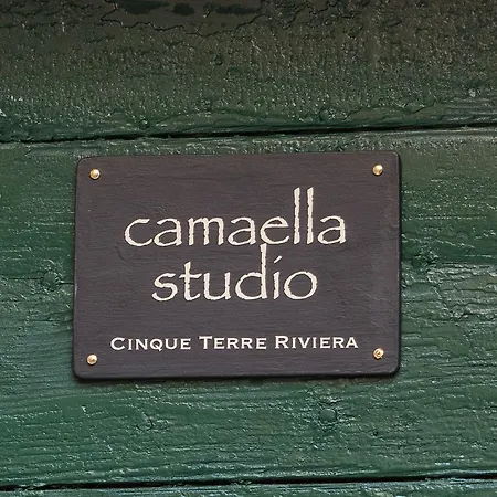 Camaella Luxury Apartment